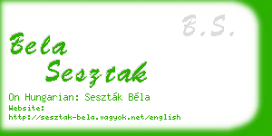 bela sesztak business card
